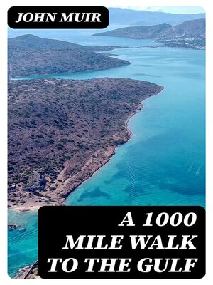cover image of A 1000 Mile Walk to the Gulf